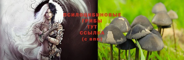 мяу мяу мука Заводоуковск